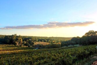 Father’s Day in the Perth Hills Wine Region